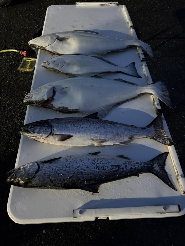 Winter salmon fishing in Ketchikan Alaska - Successful King Salmon and halibut catch on the 4 C’s.