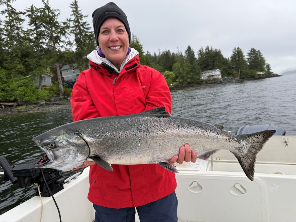 Ketchikan Fishing Report June 8 2026, update featuring a bright King Salmon caught in Ketchikan Alaska.